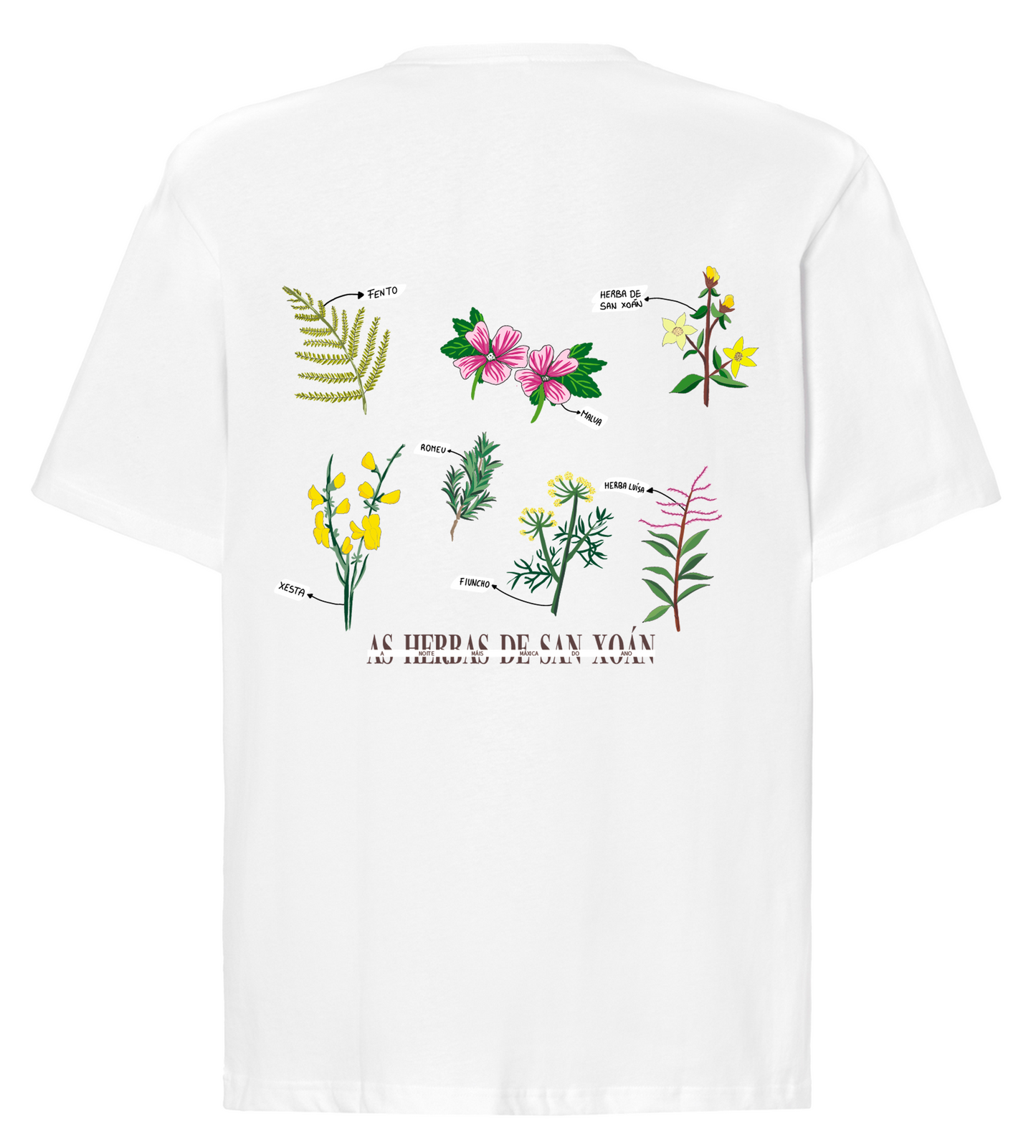 CAMISETA OVERSIZE MORRIÑA 03